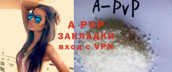 PSILOCYBIN Гусев