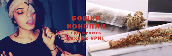 PSILOCYBIN Гусев