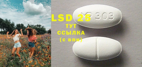spice Гусиноозёрск
