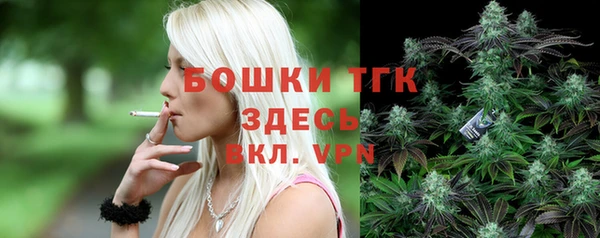 PSILOCYBIN Гусев