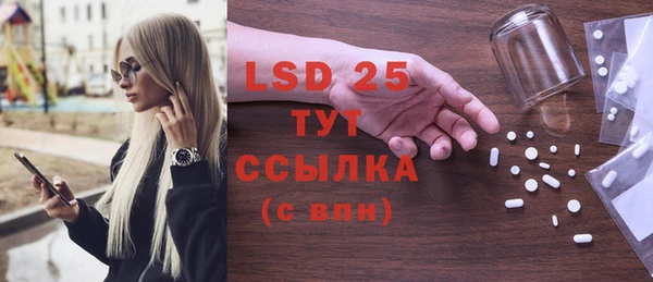PSILOCYBIN Гусев