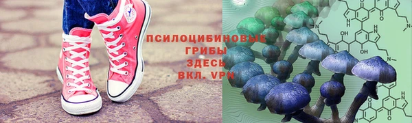 PSILOCYBIN Гусев