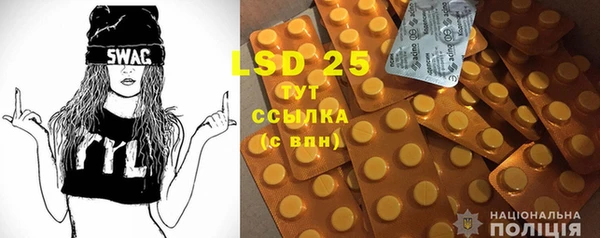 spice Гусиноозёрск